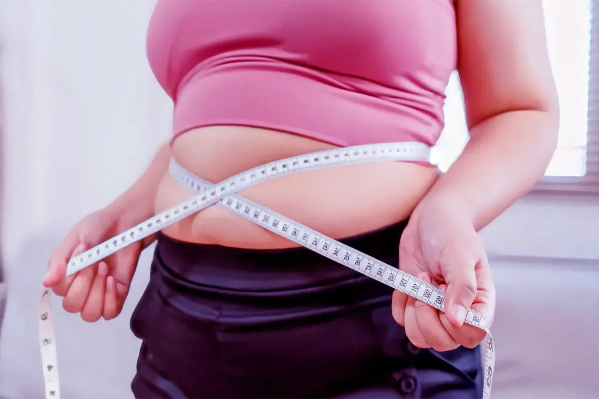Belly-fat-brain